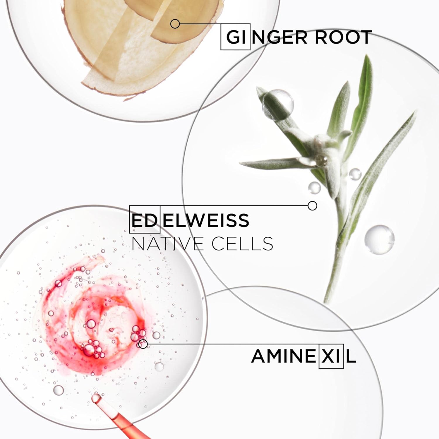 Kérastase Duo Genesis, Nourishing Shampoo & Hydrating Conditioner, For Weakened Hair, With Ginger Root & Edelweiss Flower, Bain Hydra-Fortifiant, 250Ml & Fondant Reinforcateur, 200Ml