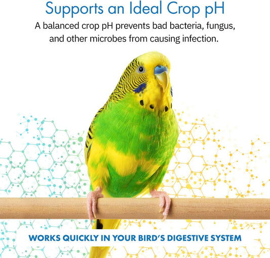 Healthygut™ Avian Probiotics Dietary Supplement For Parrots, All-Natural Digestive System Formula (120 Servings)