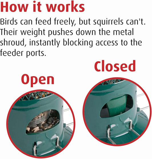 Squirrel Proof Bird Feeder For Seeds - Jacobi Jayne® Squirrel Buster® Seed Bird Feeder – Pigeon Proof Metal Bird Seed Feeder For Wild Birds – Easy Clean Hanging Seed Bird Feeder For Garden BirdsSb-1057