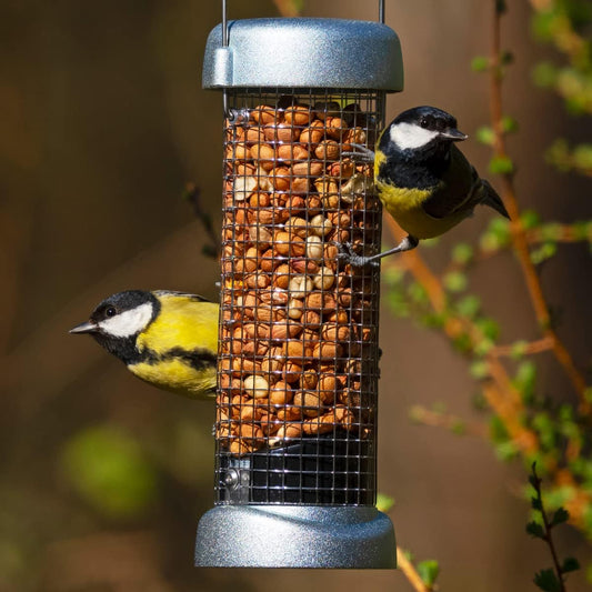 Jacobi Jayne Ring-Pull Click Small Peanut Feeder, Zinc BirdRp3-P1Z