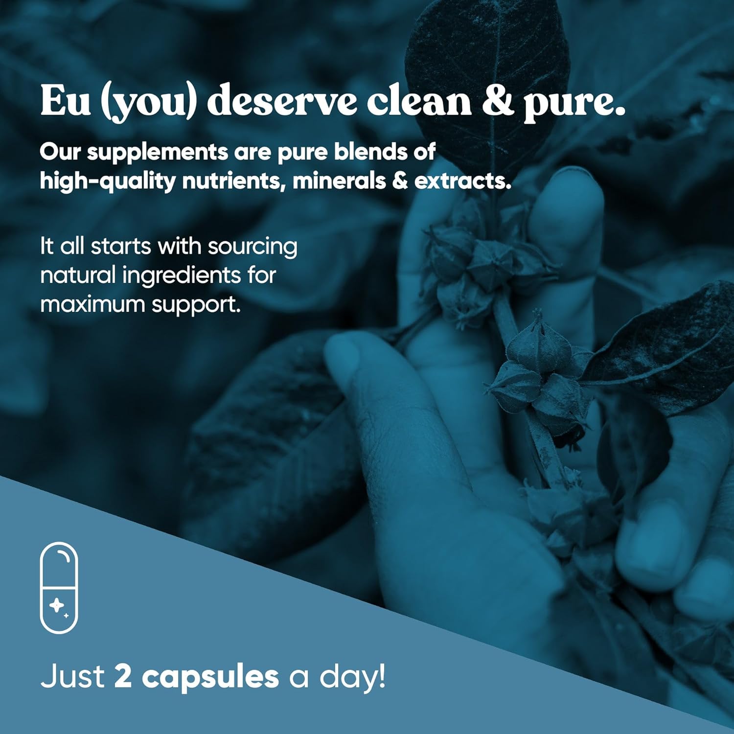 Vitality Cortisol Manager – Fight Fatigue, Feel Calm & Balanced – Healthy Cortisol, Focused Energy, Adrenal Support – Ashwagandha Supplement with Rhodiola, L-Tyrosine, Holy Basil – 60 Veg Capsules : Health & Household