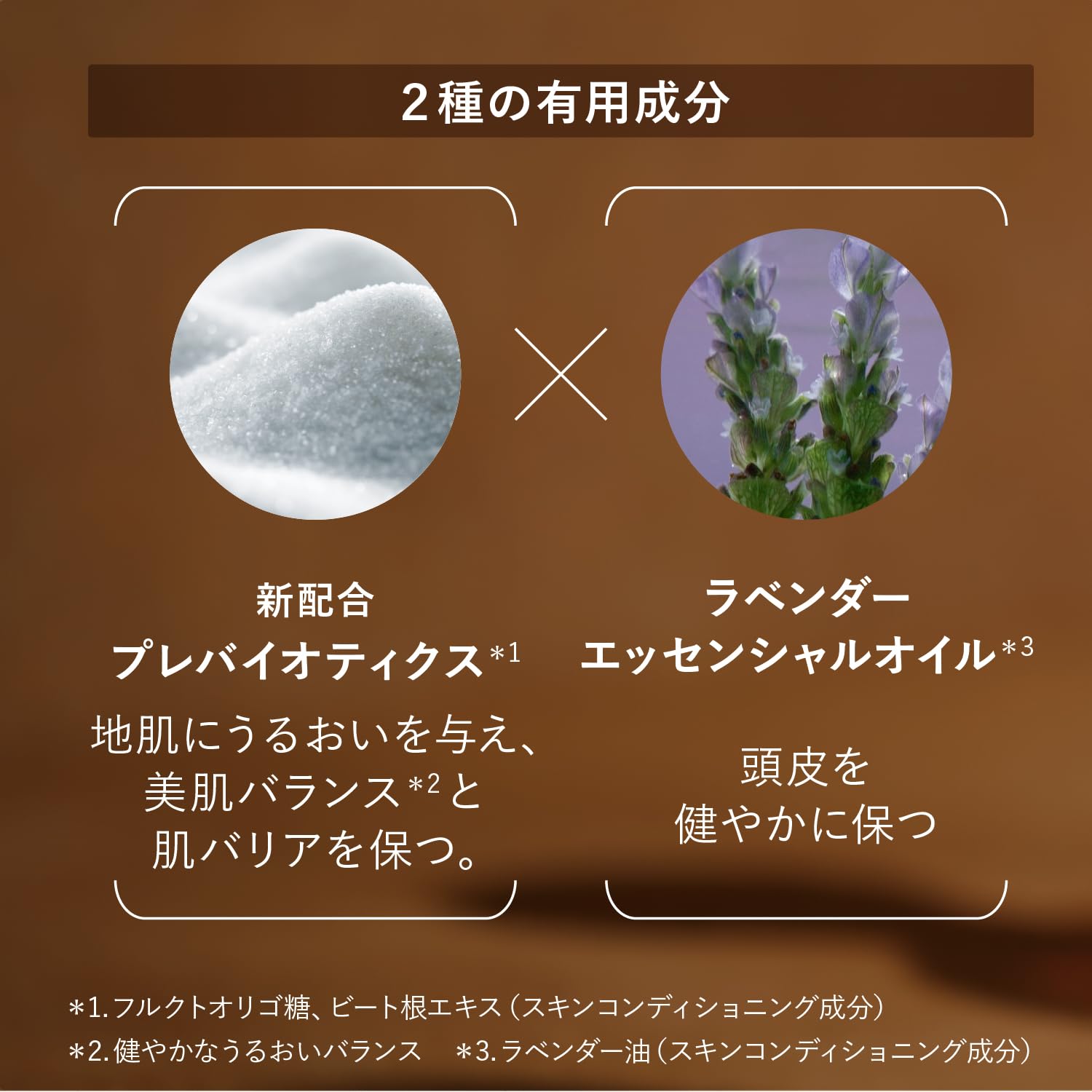 L'Occitane Aromachologie Gentle & Balance Micellar Shampoo 16.90 Fl.Oz : Beauty & Personal Care