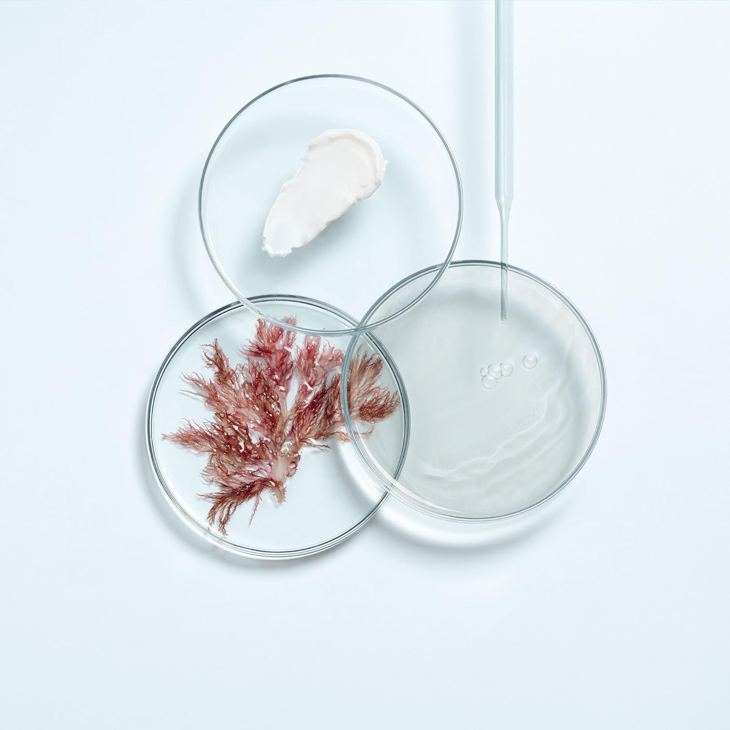 Thalgo Soothing Fluid From The Professional Product Line Cica Marin, The First Sos Care Line With Marine Prebiotics, Repairs, Soothes And Strengthens Sensitive And Weakened Skin : Beauty & Personal Care