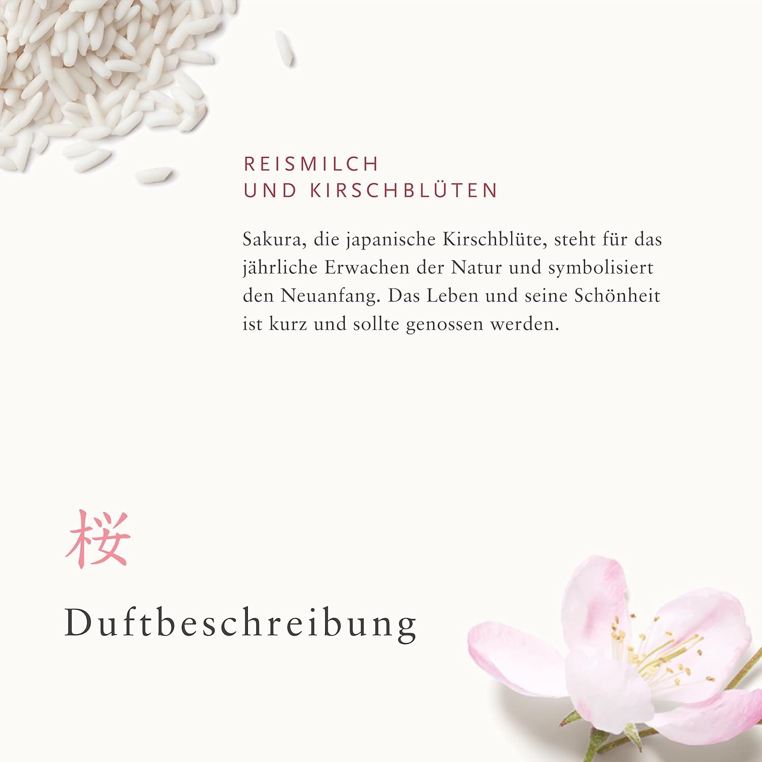 Rituals Sakura Renewing Discovery Set - Foaming Shower Gel, Body Scrub & Body Cream With Rice Milk & Cherry Blossom : Beauty & Personal Care