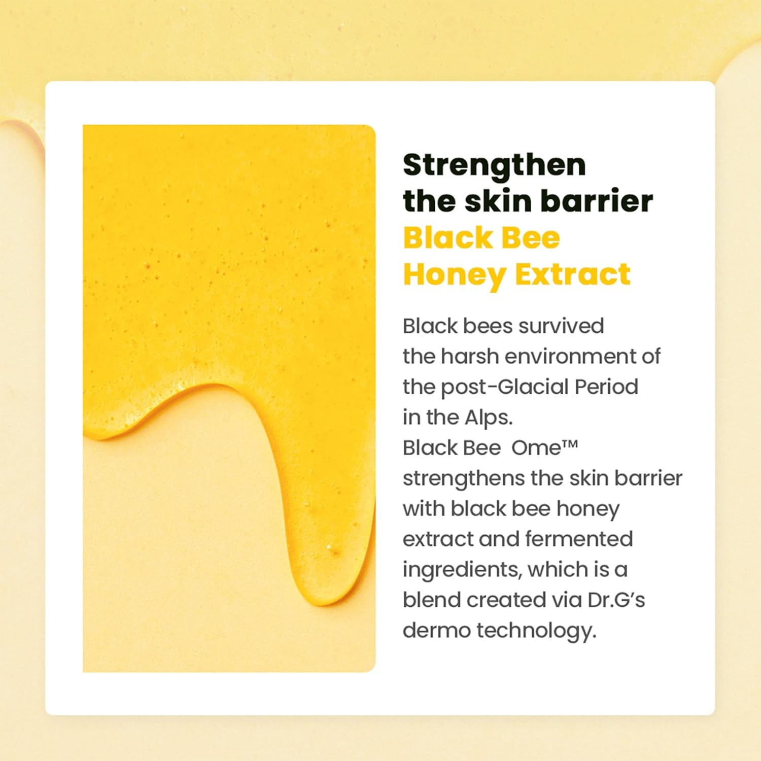 Dr.G Royal Black Snail Korean Eye Cream For Dark Circles Under Eye Treatment, 30Ml - Korean Eye Serum, Korean Skin Care Eye Cream Anti Aging, Korean Under Eye Cream Korean, Korean Skincare, Kbeauty