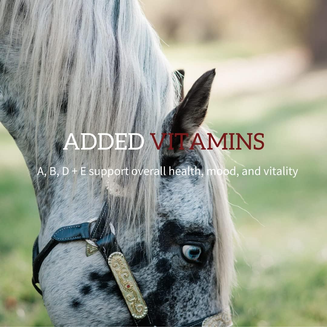 Redmond Equine Electrolyte Paste | Electrolytes Supplement For Horses : Pet Supplies