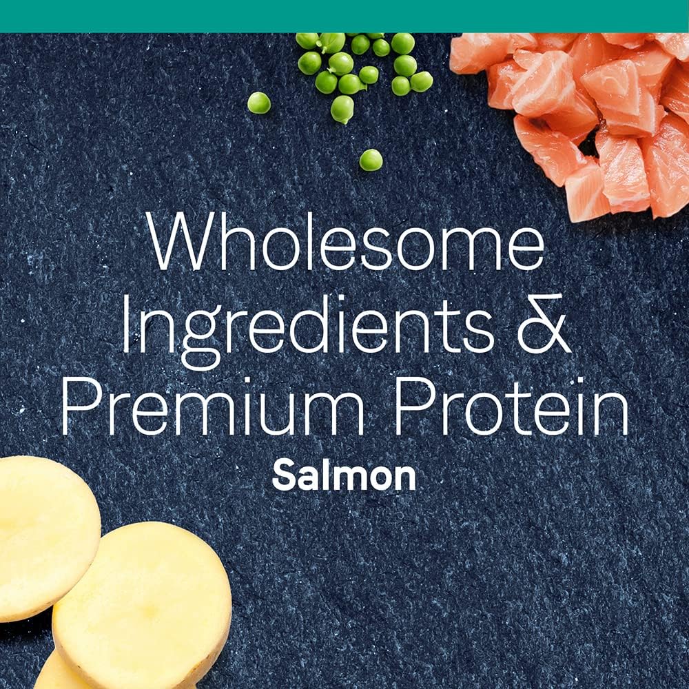 CANIDAE Premium Dry Cat Food and Wet Cat Food Bundle, Salmon Recipe- 5 Pound Bag, Morsels with Salmon and Whitefish in Broth- 2.46 Ounce Cans (Pack of 24), Grain Free