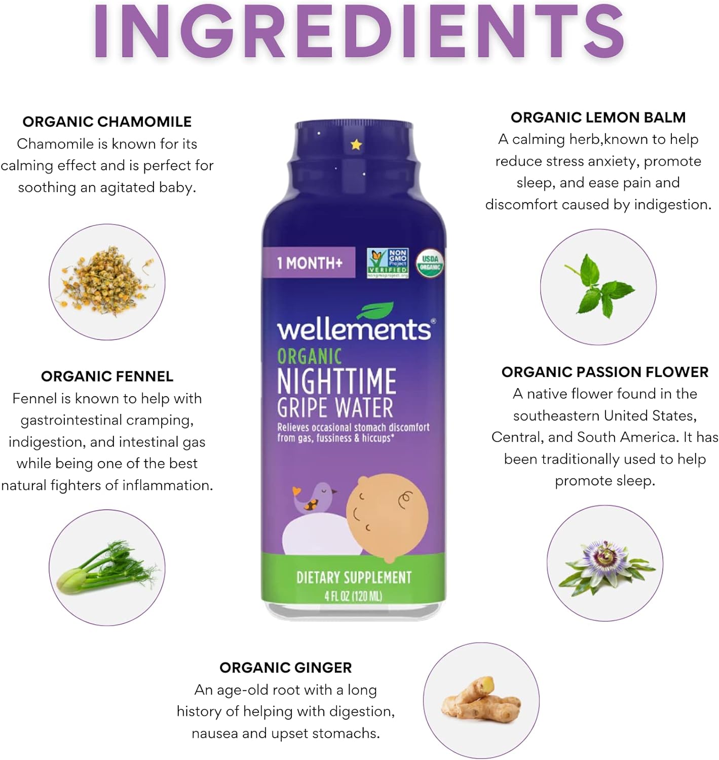 Wellements Organic Baby Gripe Water Day & Night Combo Pack | Relief for Occasional Upset Bellies from Baby Gas, Colic, Hiccups & Fussiness, Gentle*, USDA Certified Organic | Pack of 2, 4 Fl Oz : Baby