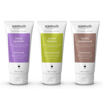 Hand Cream Set Of 2, With Shea Butter, Cocoa Butter, Argan & Almond Oil, Moisturizing Dry Hands. Coconut Cocoa Butter + Grapefruit Turmeric | 100Ml (3.4Fl.Oz) X 2