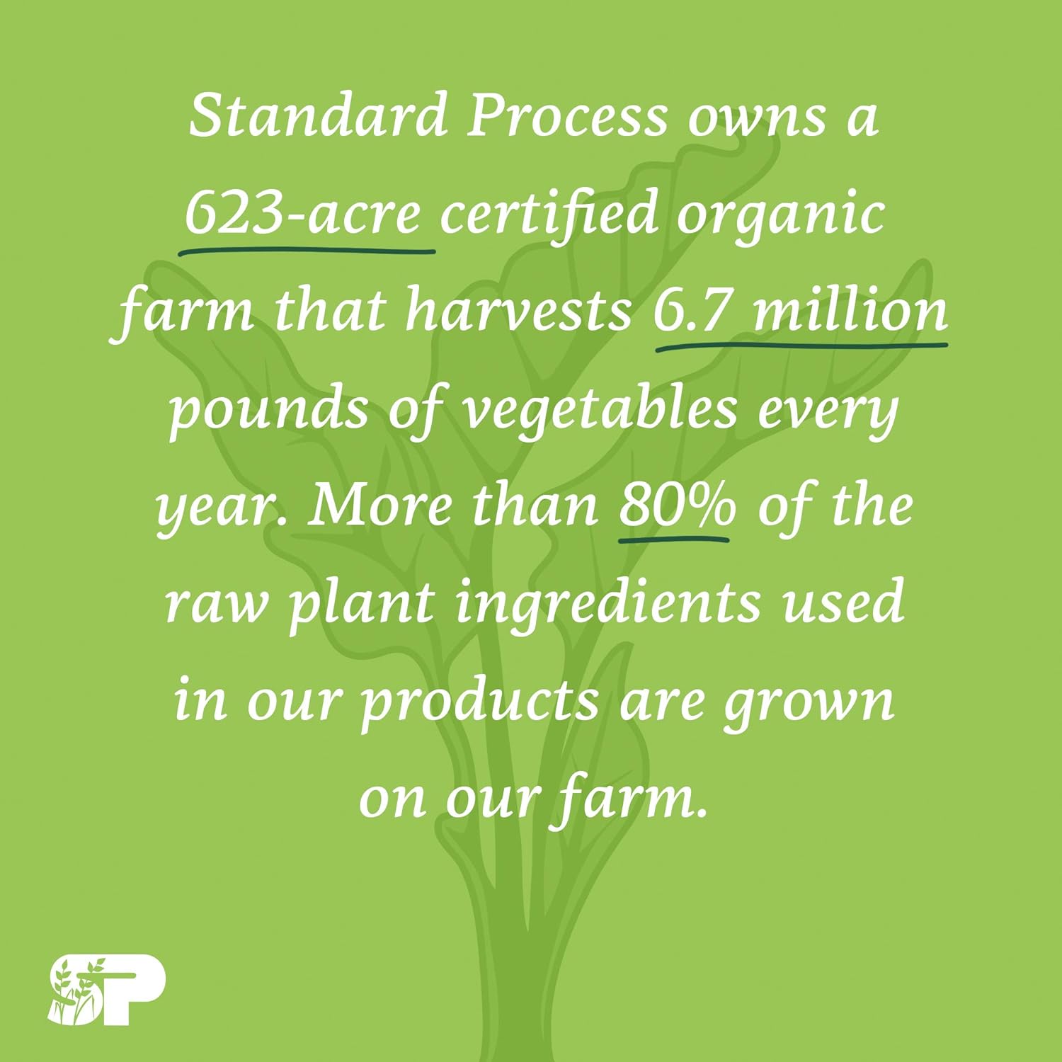 Standard Process Catalyn Chewable - Foundational Support for General Wellbeing with Vitamin D, Vitamin C, Vitamin A, Thiamine, Riboflavin, Vitamin B6, Magnesium Citrate, and More - 90 Tablets : Health & Household