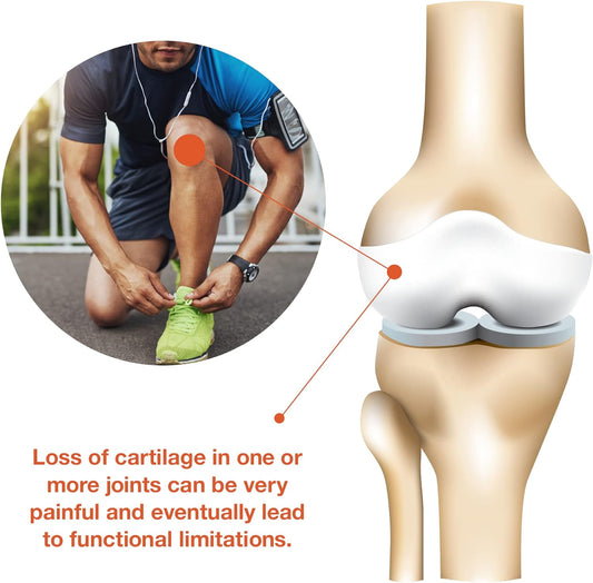 Youtheory Joint Complex With Uc-Ii, 60 Tables (1 Bottle)