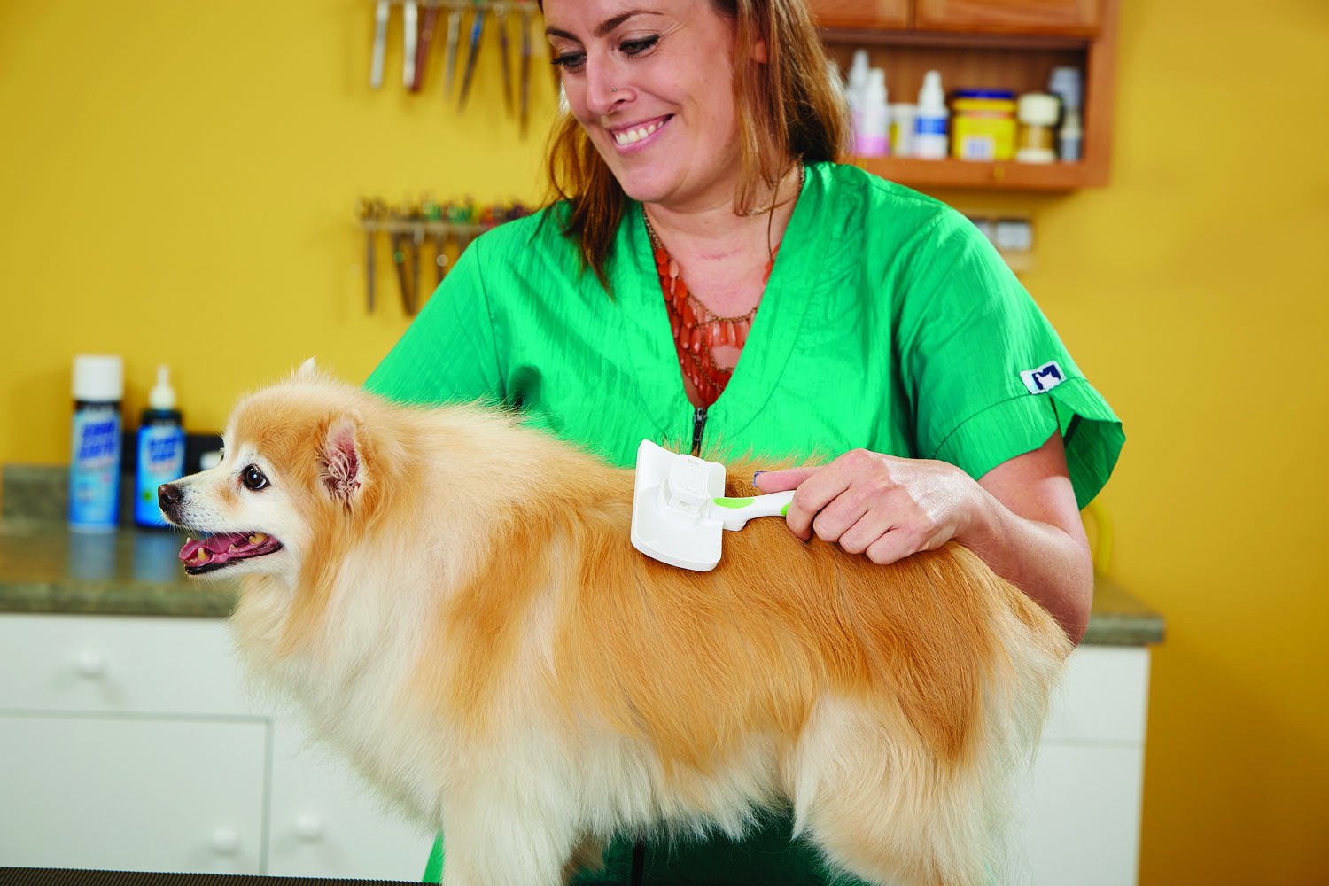 Andis 40160 Self-Cleaning Animal Slicker Brush - Grooming Brush for Pet Deshedding Fur - Reduces Shedding Up to 90%, Removes Tangles, Dirt & Loose Hair - Ideal Gift for Pet Lovers โ White,Silver Small : Pet Supplies