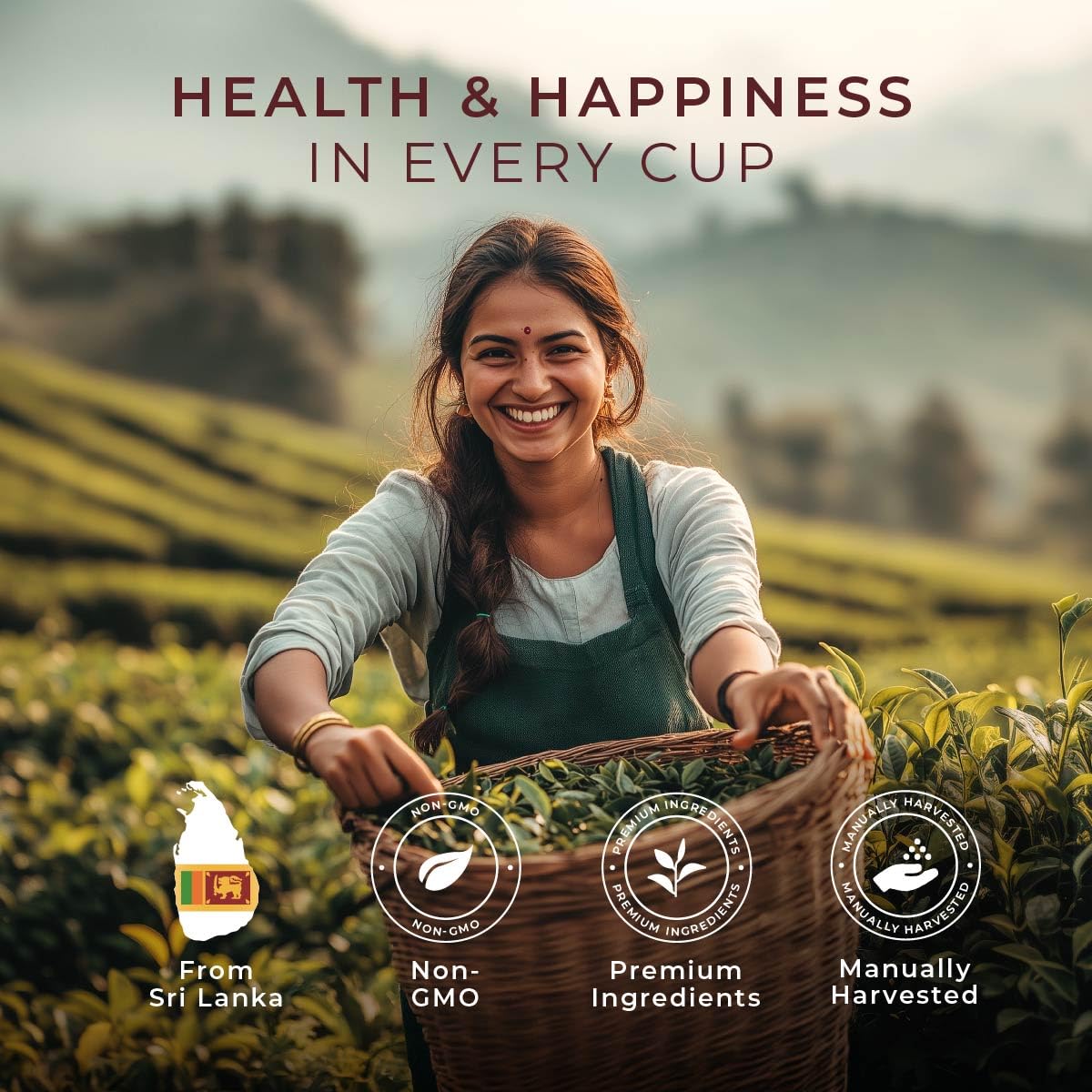 Gya Tea Co Cinnamon Orange Black Tea Bags (20 Bags) - Medium Caffeine Refreshed Tea For Body Warm & Comfort - Fruit & Herbal Blends