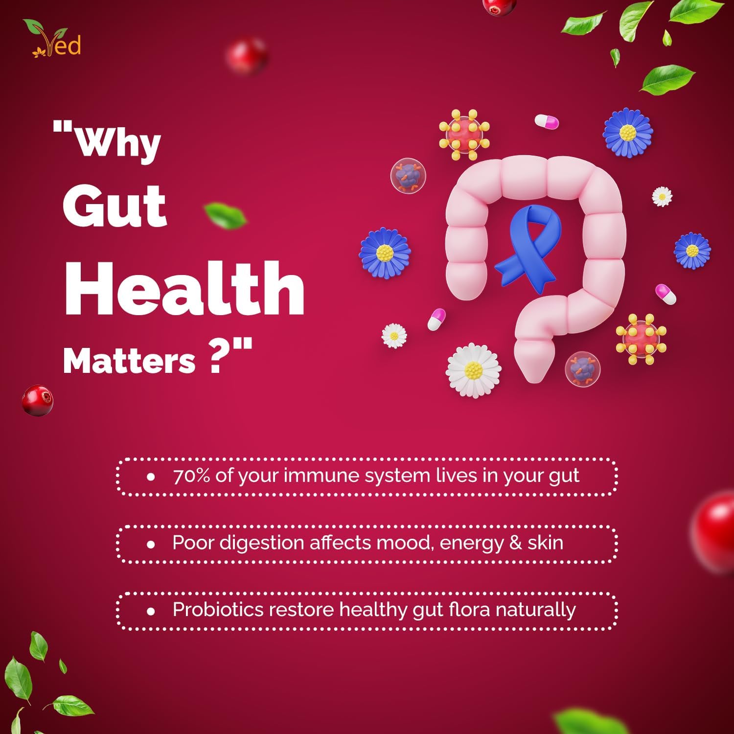 Ved Probiotics & Enzymes 500 ML Liquid - Fermented High Strength Food Supplement with Vitamin C. : Amazon.co.uk: Health & Personal Care