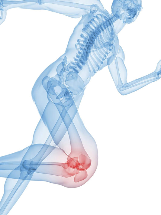 Zycal Bioceuticals Ostinol(Tm) 350 Bone & Joint Supplement With 350Mg