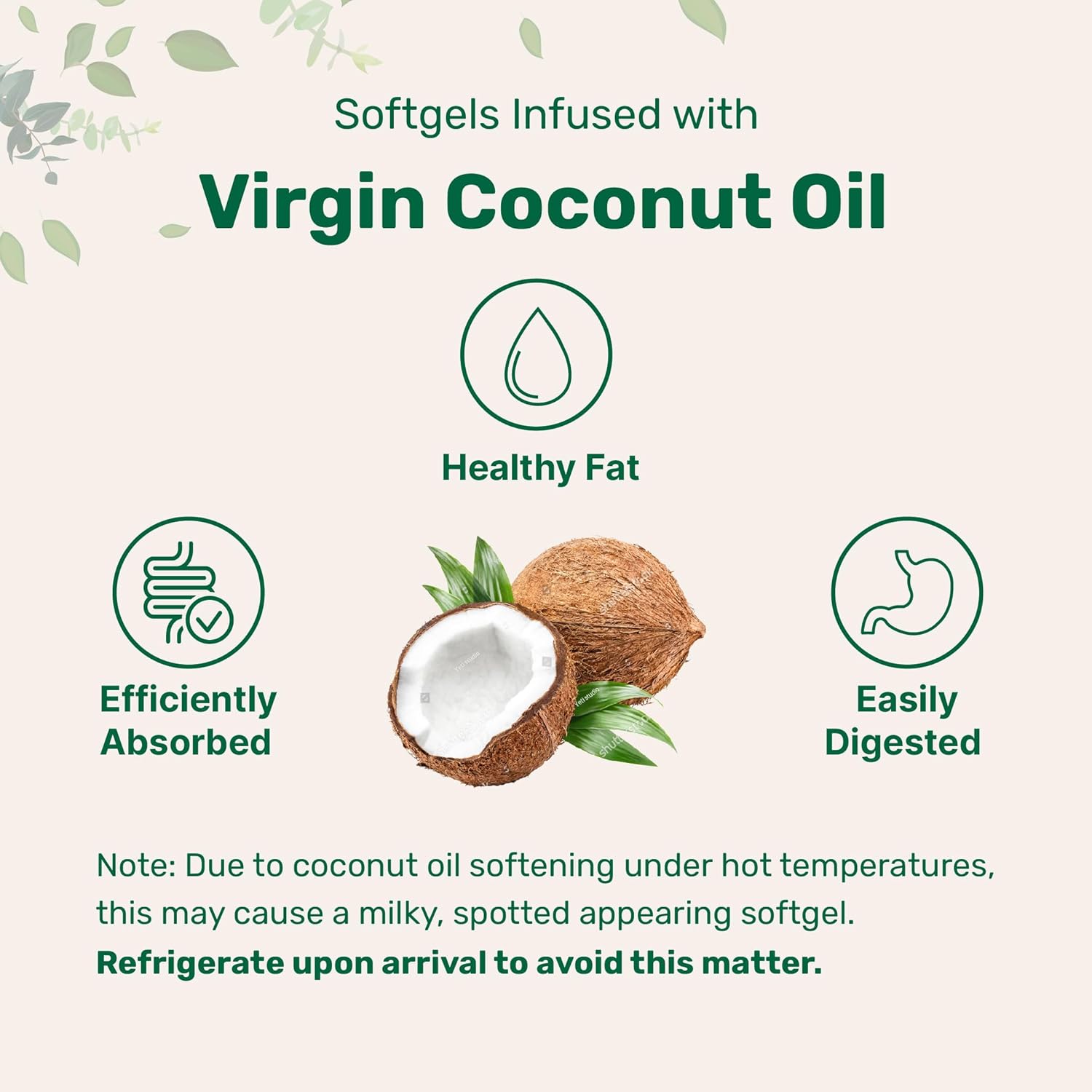 Micro Ingredients Biotin 10,000mcg w/Hyaluronic Acid 25mg | 365 Virgin Coconut Oil Softgels, Fast Release, One Year Supply, Supports Healthy Hair, Skin & Nails, Non-GMO & No Gluten : Health & Household