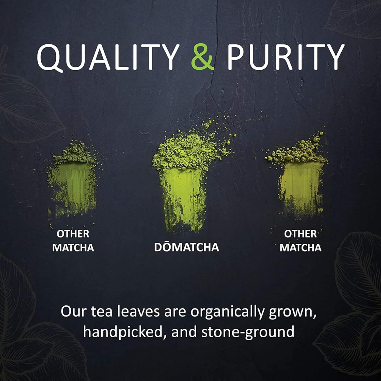 Domatcha, Master'S Decaf Matcha Powder, Authentic Japanese Green Tea, Ceremonial Grade, 30G