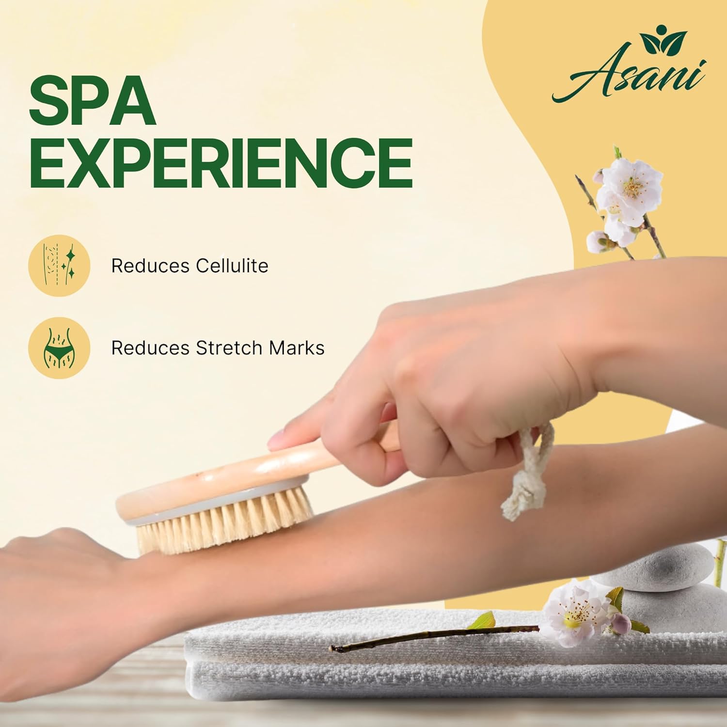 Asani Dry Brushing Body Brush Set For Lymphatic Drainage & Cellulite - 3-Pcs Detachable Back, Contour Body & Face Brushes Organic Gift For Dry Skin, Exfoliation, Invigorating Showers : Beauty & Personal Care