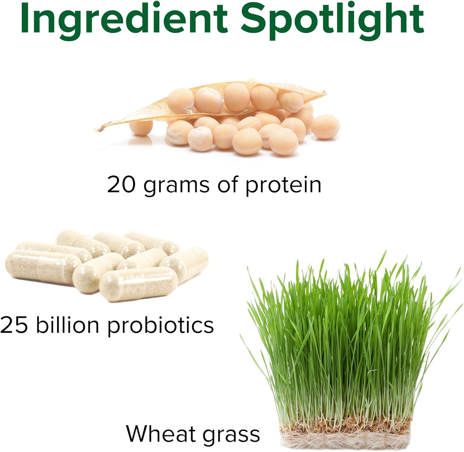 Vibrant Health, Maximum Vibrance, Complete Vegan Meal Shake with Plant