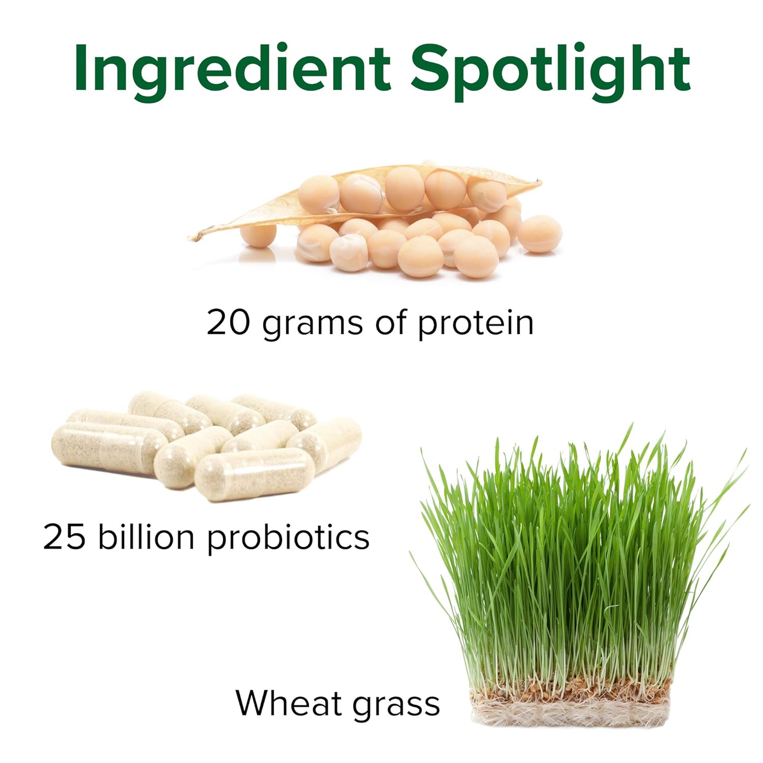 Vibrant Health, Maximum Vibrance, Complete Vegan Meal Shake with Plant