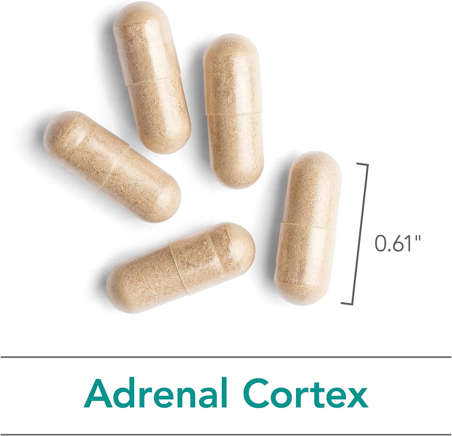 Nutricology Adrenal Cortex Glandular - Stress, Energy, Adrenal Support - 100 Vegicaps : Health & Household
