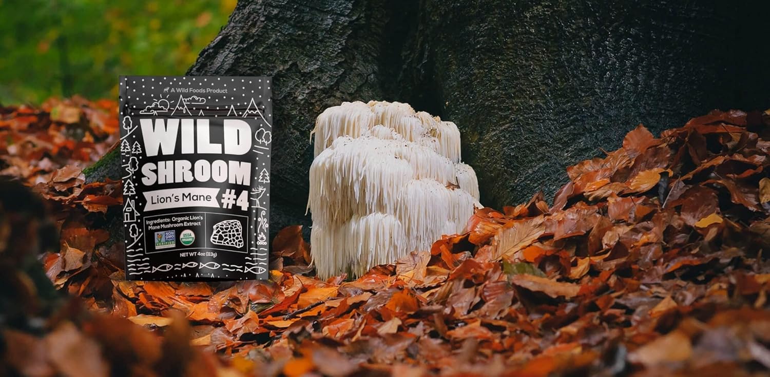 Buy Wild Foods Lions Mane Powder Mushrooms Extract 10:1 | Organic Mushroom Powder | Adaptogenic Nootropic Herb For Brain Health, Memory And Focus(4 Ounce) On  Free Shipping On Qualified Orders