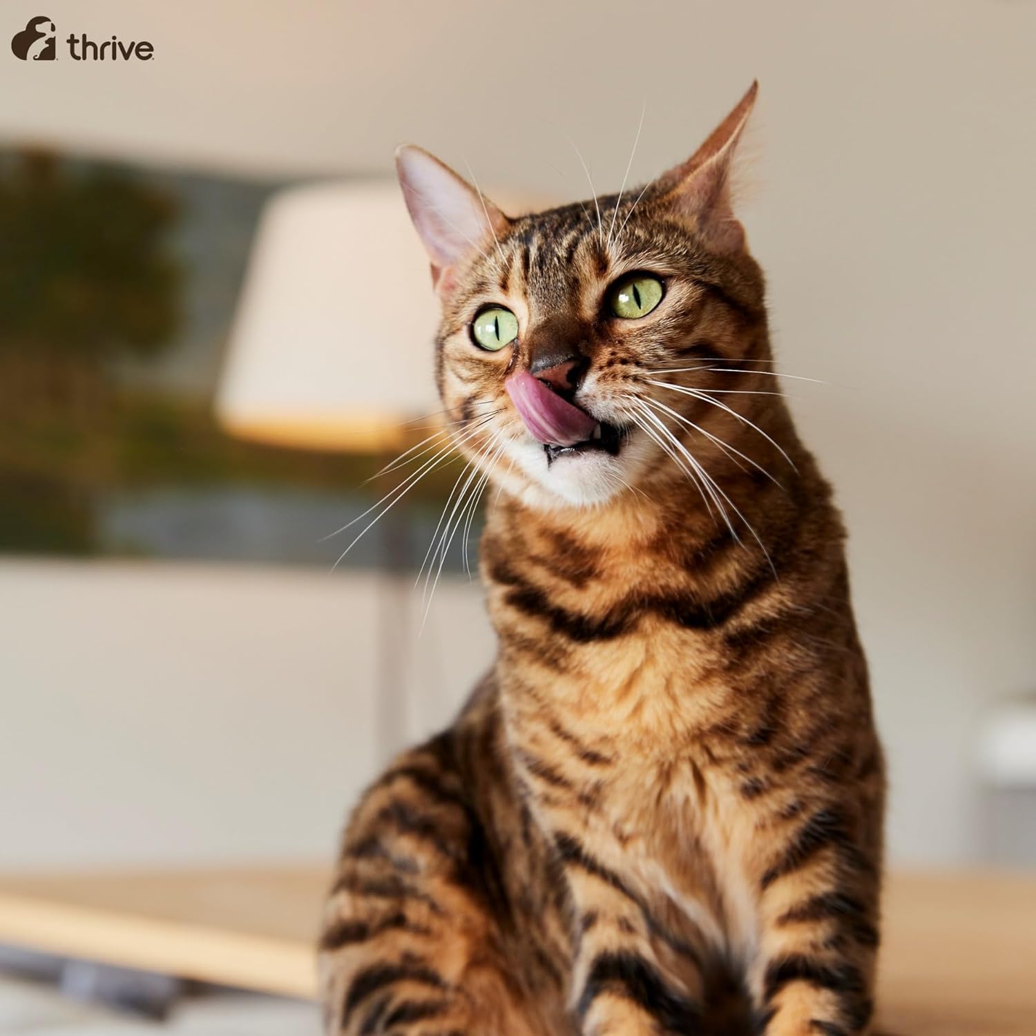 thrive ProTaste Chicken Food Topper for Cats, 170 g : Amazon.co.uk: Pet Supplies