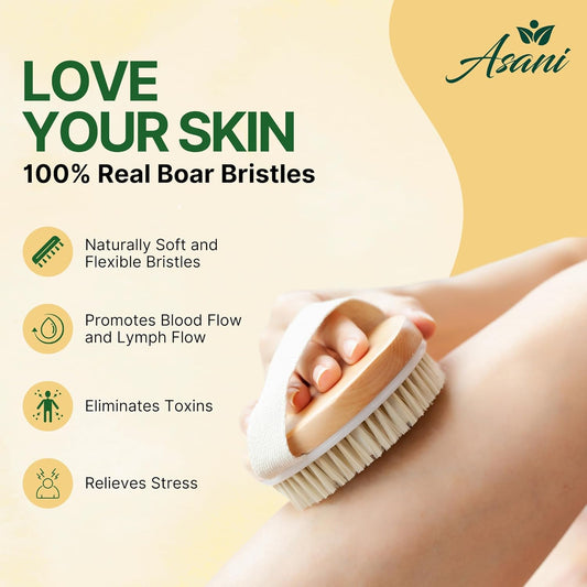 Asani Dry Brushing Body Brush Set For Lymphatic Drainage & Cellulite - 3-Pcs Detachable Back, Contour Body & Face Brushes Organic Gift For Dry Skin, Exfoliation, Invigorating Showers