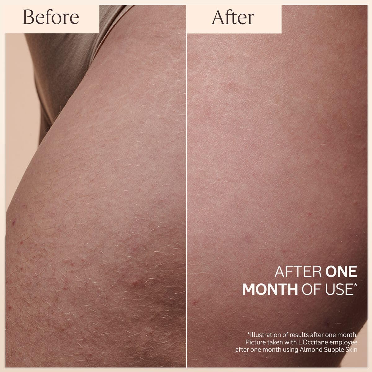 L'Occitane Almond Supple Skin Oil 3.30 Fl. Oz : Beauty & Personal Care