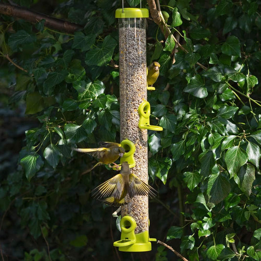 Jacobi Jayne Flo-S3G Bird Feeder, Lime, LargeFlo-S3G