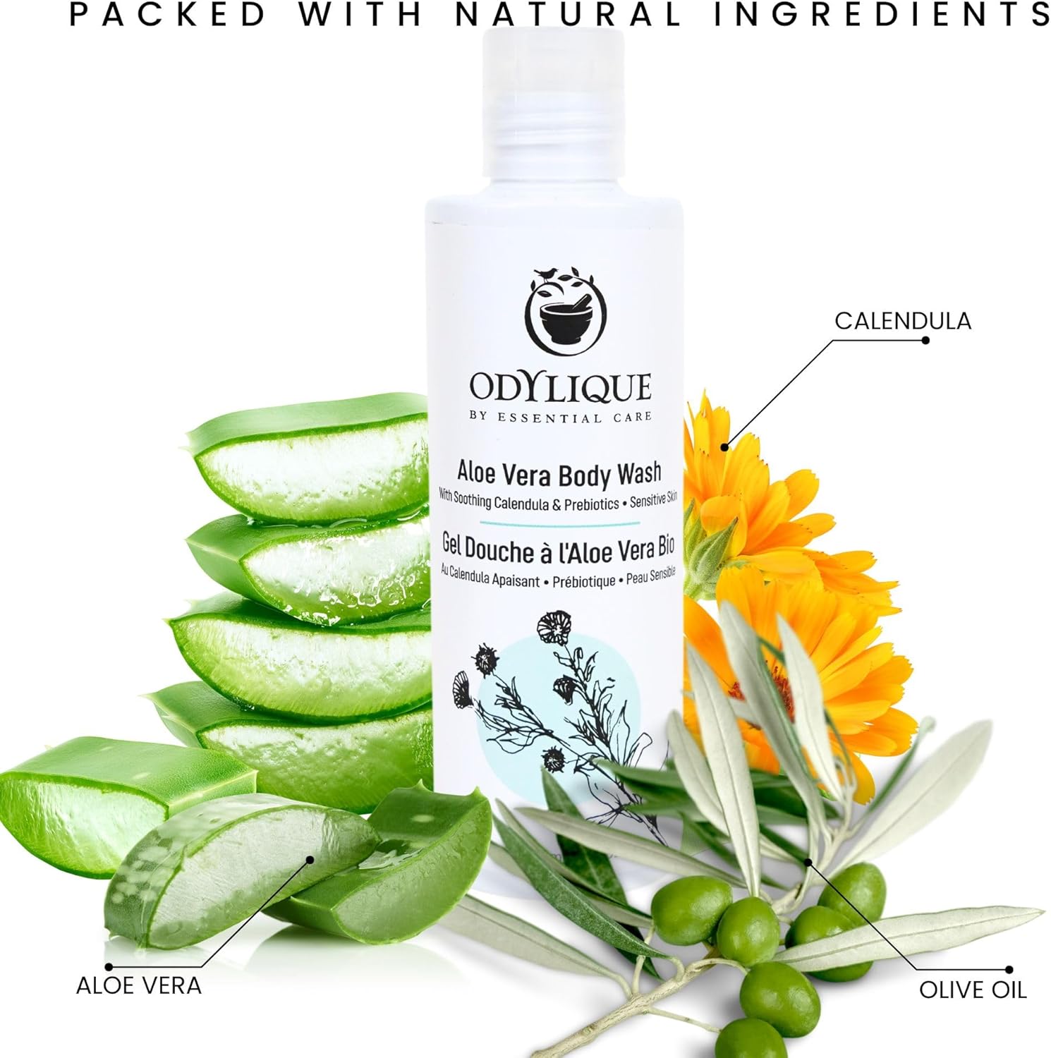 Odylique Aloe Vera Body Wash 200ml | Unscented | Vegan, Organic & 100% Natural | Sulphate Free : Amazon.co.uk: Beauty