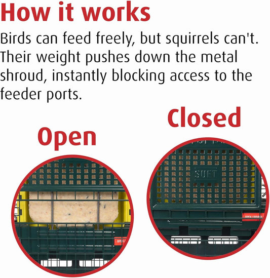 Squirrel-Proof Bird Feeder For Suet Cakes - Jacobi Jayne® Squirrel Buster® Suet – Pigeon Proof Metal Bird Suet Feeder For Wild Birds – Easy Clean Hanging Suet Bird Feeder For Garden BirdsSb-S