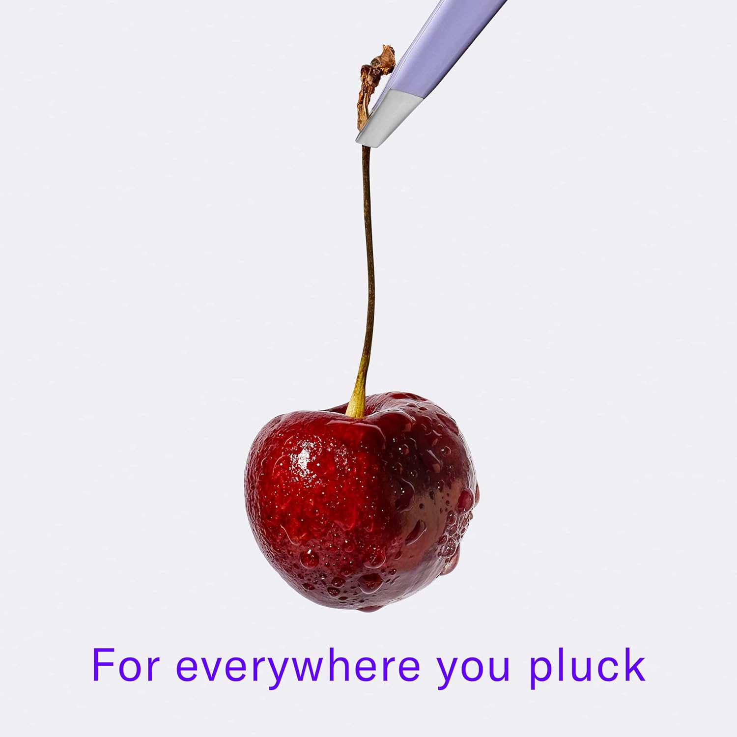 Flamingo Women’s Tweezers - Stainless Steel Slant Tip for Precision Hair Removal - Lilac : Beauty & Personal Care