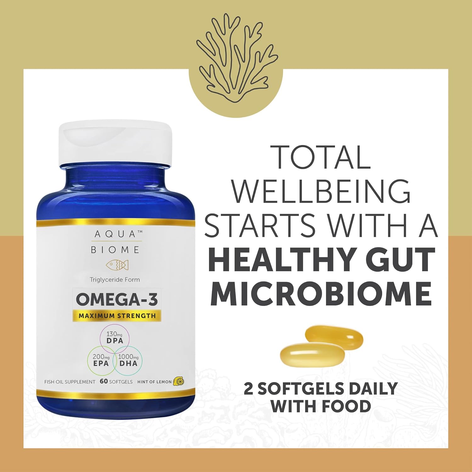 Enzymedica Aqua Biome Maximum Strength Omega 3 Fish Oil, 60 Softgels