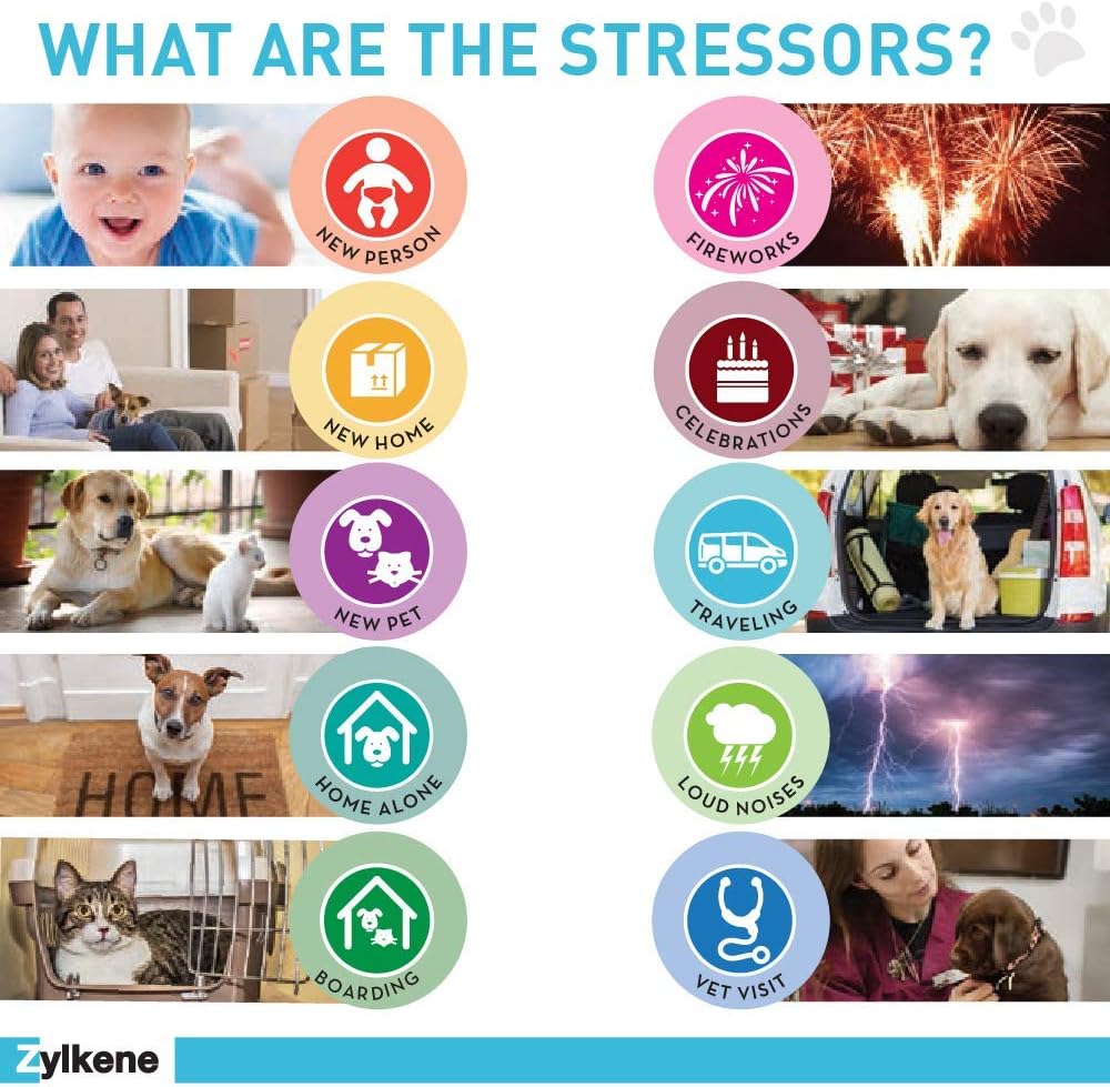 Vetoquinol Zylkene Calming Support Supplement for Small Dogs and Cats, Helps Promote Relaxation and Reduce External Stress Factors, Daily Behavioral Support and Anxiety Relief for Dogs and Cats, 75mg : Pet Supplies