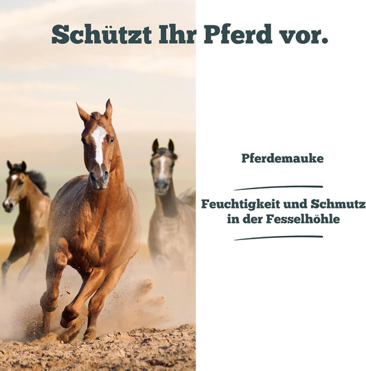 Sensipharm Sensi Horse Cream 300 G - Mauk Ointment For Horses - Skin-Friendly Zinc Ointment Horse With Vitamin D For Horses Against Mauke Horse And Jet Rot Horse Skin-Friendly Pain Free Hoof Care