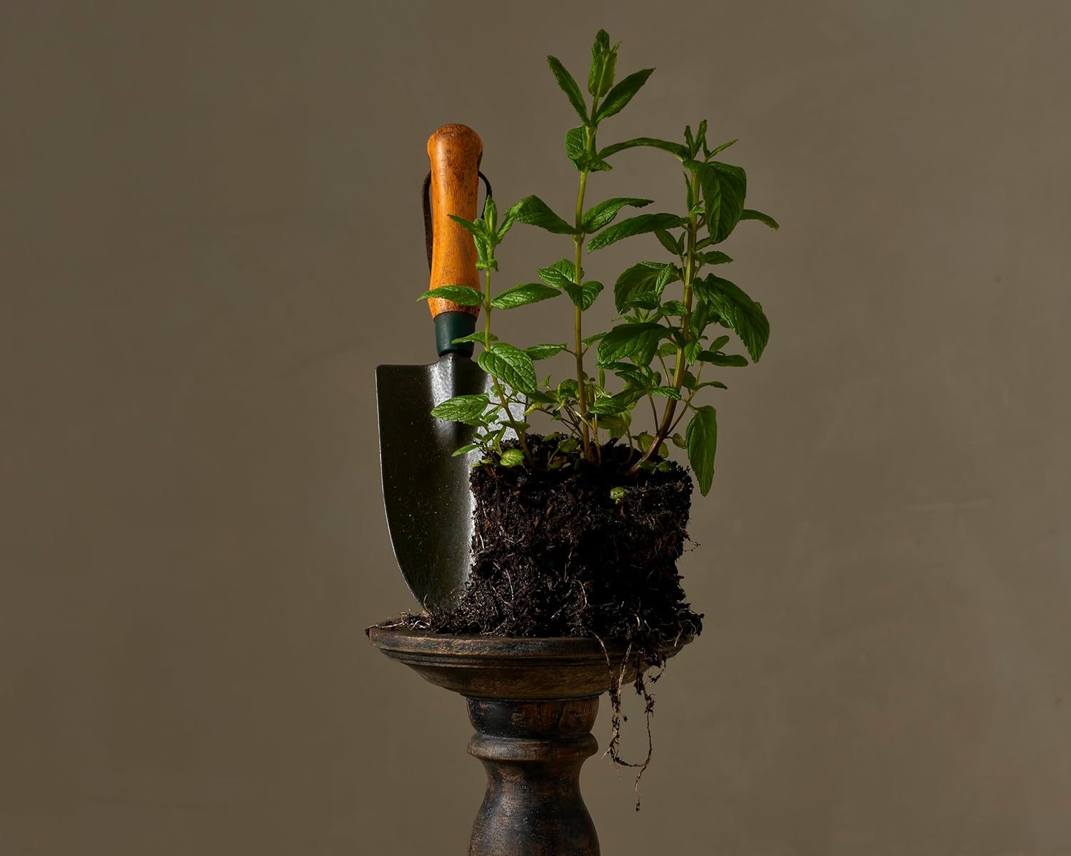 Cowshed Restore Exfoliating Hand Wash - 300ml - Softening Luxury Hand Wash - Paraben-Free Foaming Handwash Liquid Soap - Natural Moisturising Handwash : Amazon.co.uk: Beauty