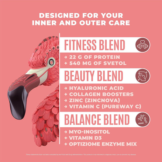 Birdman Fitmingo Vegan Protein Powder With Inositol, Collagen Boosters, Hyaluronic Acid And Vitamins | Low Carb, Dairy Free, Low Calorie | 22G Plant Based Mocha Protein Powder With Myo-Inositol : Health & Household