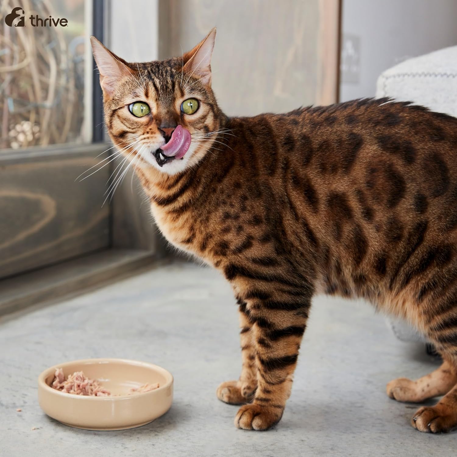 Thrive Cat Food Complete Ocean Fish, 450 g (Pack of 6) : Amazon.co.uk: Pet Supplies