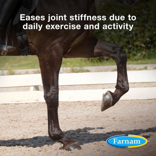Farnam Next Level Horse Joint Supplement For Horses & Dogs, Helps Maintain Connective Tissue To Ease Joint Stiffness Due To Daily Activity, 128 Oz, 128 Day Supply