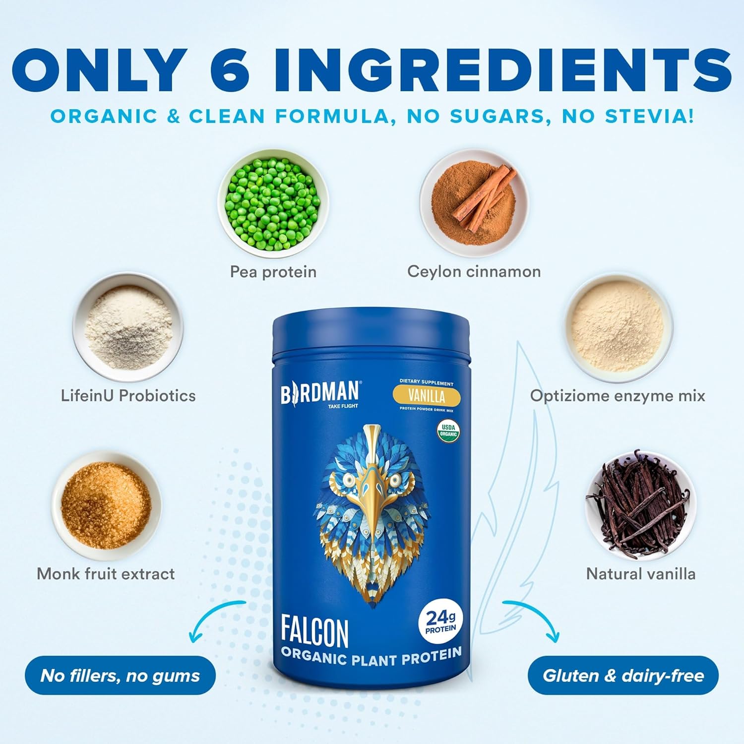 Birdman Falcon Vegan Protein Powder Organic, Stevia & Sugar Free, Plant Based Protein, Low Carb, Dairy Free, Keto, Non Whey Protein, Probiotic, Pea Protein | Chocolate Flavor - 60 Servings - 3.9Lb : Health & Household