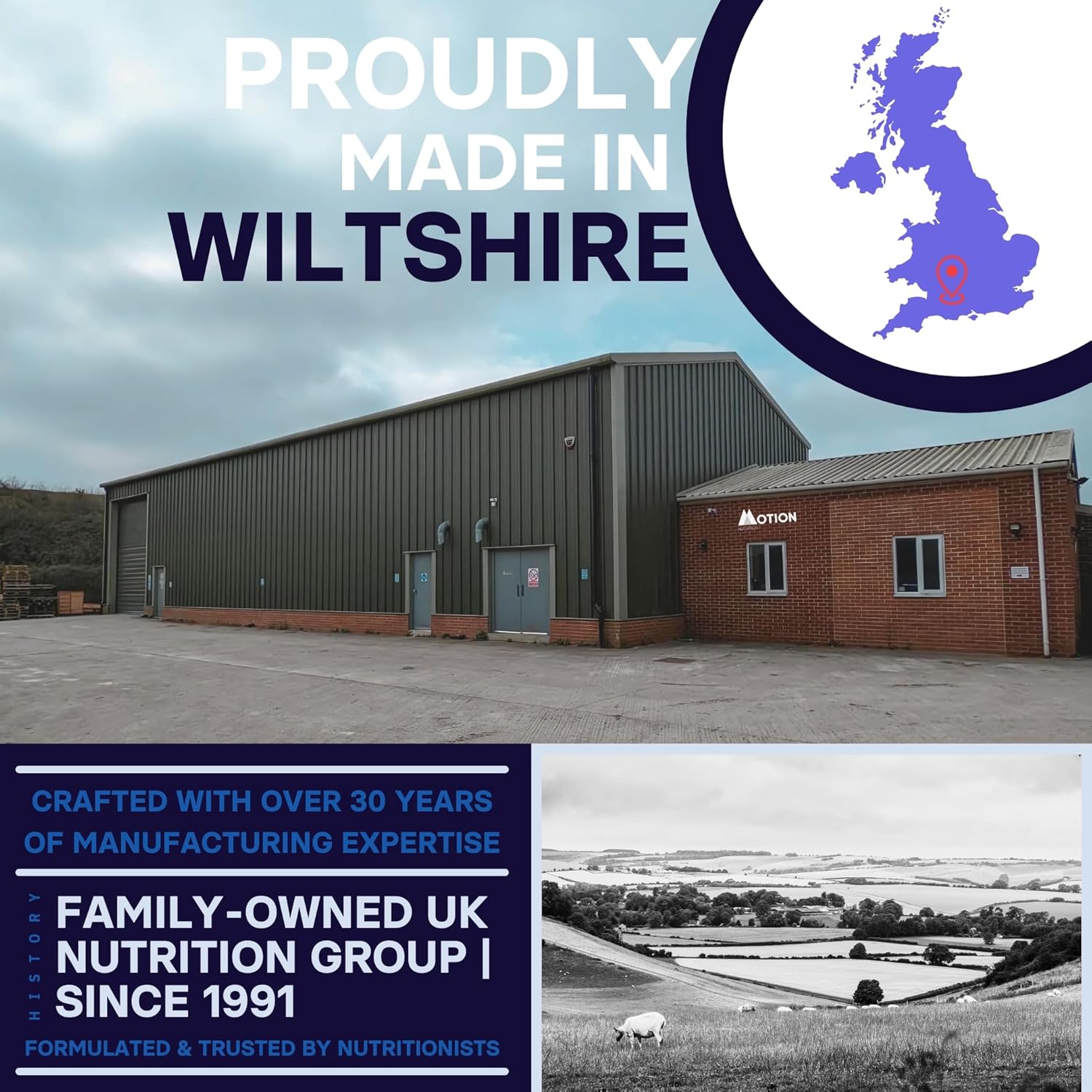 Motion Nutrition Brain & Body Creatine - Creatine Capsules for Increased Power, Speed + Mental Performance - Perfect for Sprint/Power-Based Exercise - Improves Psychological Function (120 Capsules) : Amazon.co.uk: Health & Personal Care