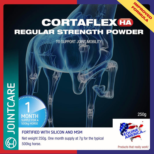 Equine America Cortaflex Regular Strength Powder | Premium Ready To Use Horse & Pony Supplement | Comprehensive Support For Joints & Mobility | 500G