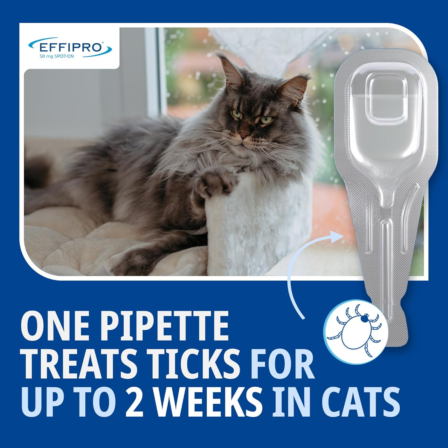 Effipro Flea & Tick Spot-On For Cats | Fast-Acting | 4 Pipettes | Vet-Strength Formula | Easy To Apply | For Cats 1Kg+
