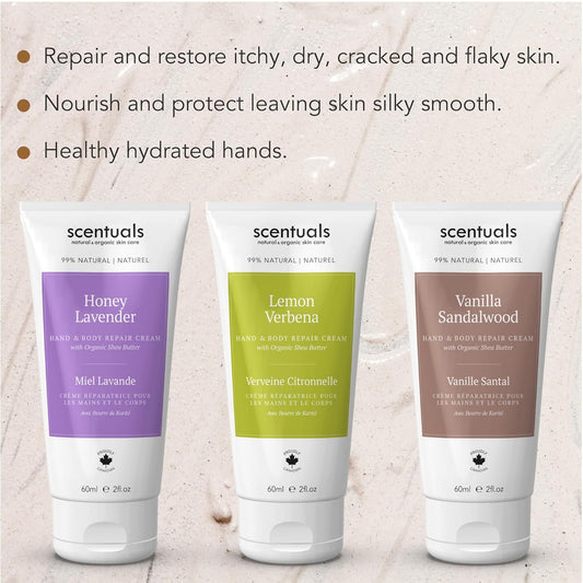 Hand Cream Set Of 2, With Shea Butter, Cocoa Butter, Argan & Almond Oil, Moisturizing Dry Hands. Coconut Cocoa Butter + Grapefruit Turmeric | 100Ml (3.4Fl.Oz) X 2