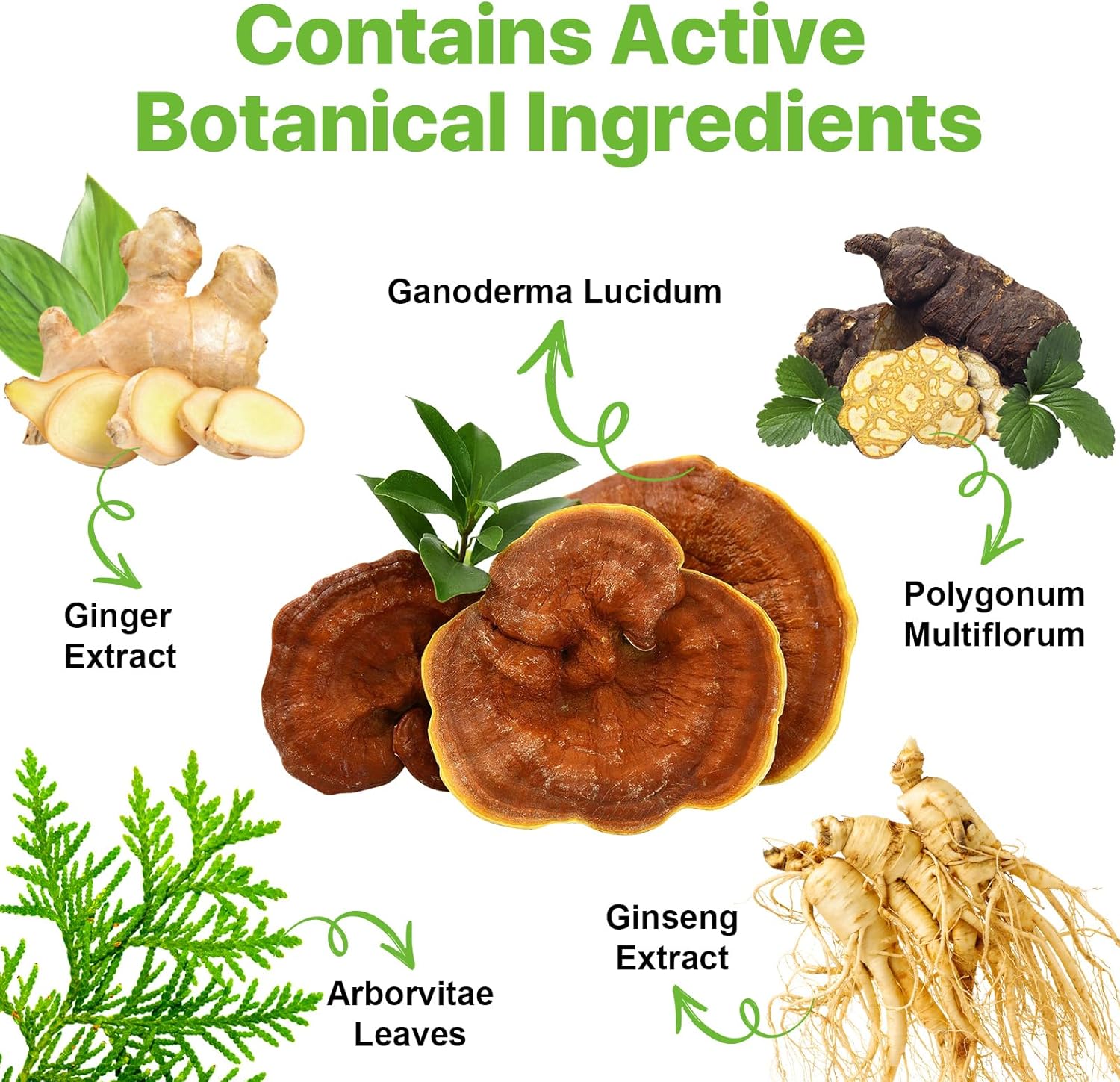 3-In-1 Black Hair Dye Shampoo -Herbal Formula Nourishing Formula Hair Care For Men & Women, Long-Lasting Color & Strengthening Benefits