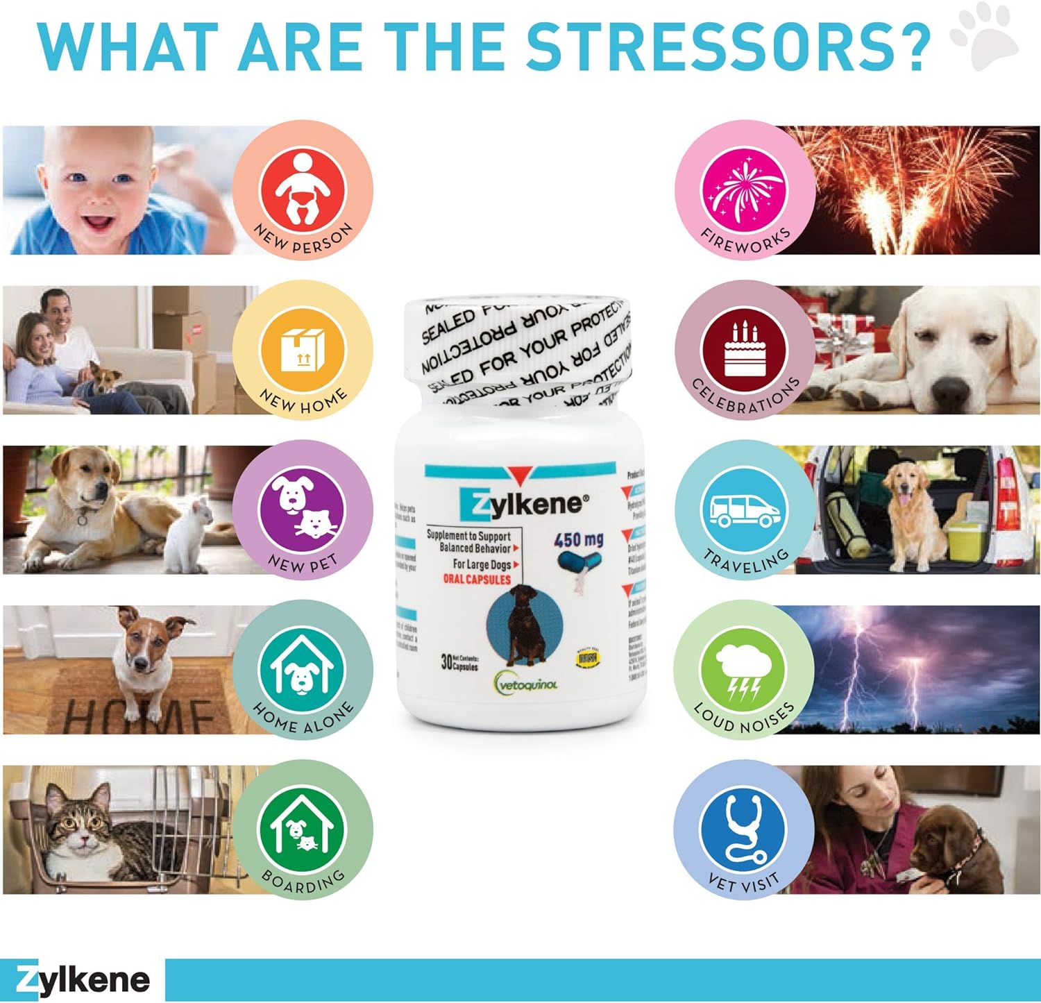 Vetoquinol Zylkene Calming Support Supplement for Large Dogs 33-132lbs, Helps Promote Relaxation and Reduce External Stress Factors, Daily Behavioral Support and Anxiety Relief for Dogs, 450mg : Pet Supplies