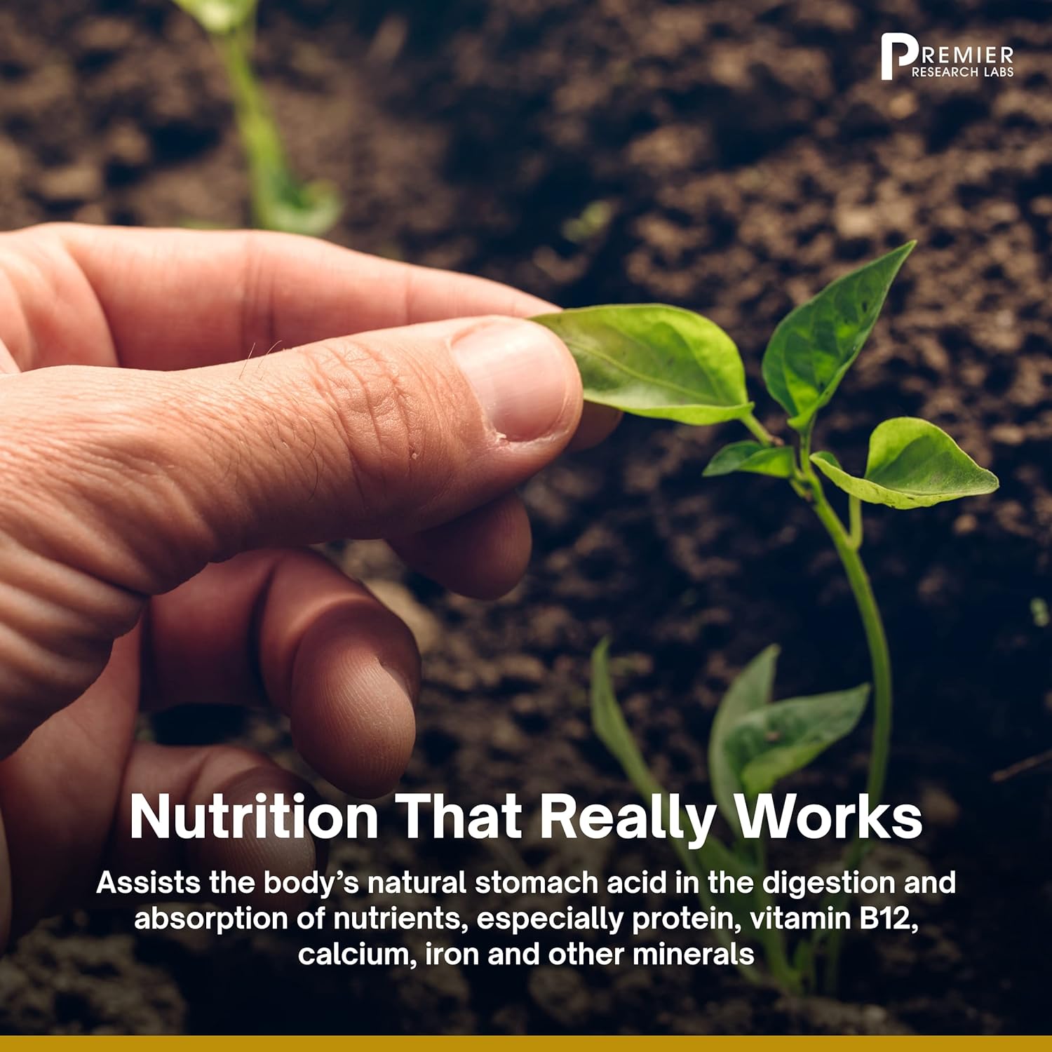Premier Research Labs AdrenaVen - Supports Adrenal Gland Health & Stress Response - Adaptogen Blend & Supplements - for Adrenal Health - 30 Servings - 60 Plant-Source Capsules : Health & Household
