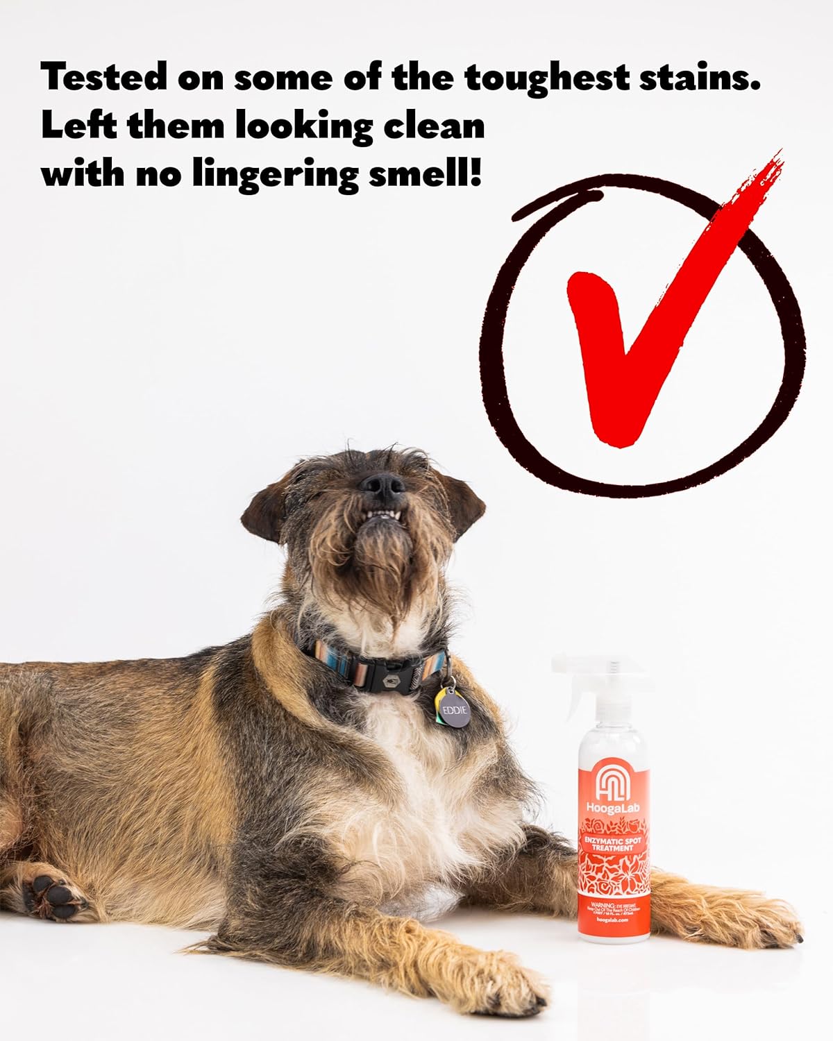 HoogaLab 16oz Enzymatic Spot Treatment - Powerful Stain Remover for Tough Messes | Pet Cleaner, Elimate Organic Stains, Odors, and Residues From Carpet, Upholstery, and Fabrics! (2 pack) : Health & Household