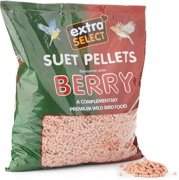 Extra Select Berry High Energy Suet Pellets Wild Bird Food - Protein, Fat Rich Year-Round Feeding - 3 Kg Refill08Wb131